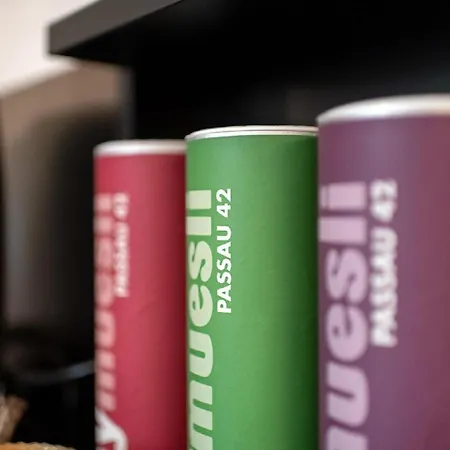 公寓 Passau42 帕绍