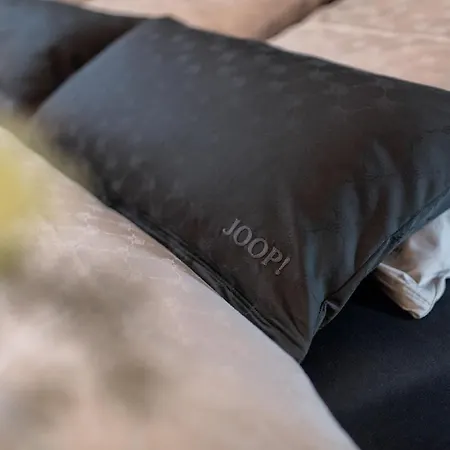 Passau42 公寓 帕绍